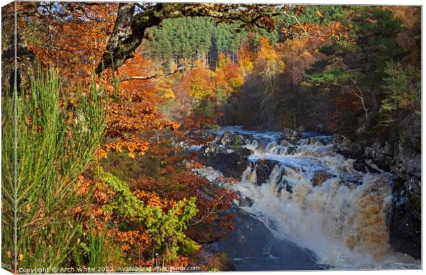 Rogie Falls, Black Water, Strathpeffer, Ross-shire Canvas Print by Arch White