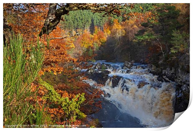Rogie Falls, Black Water, Strathpeffer, Ross-shire Print by Arch White