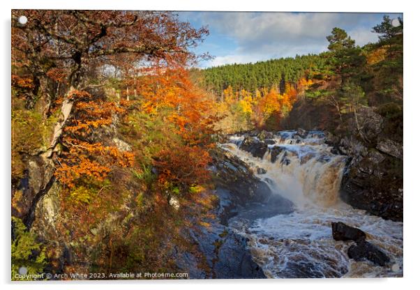 Rogie Falls, Black Water, Strathpeffer, Ross-shire Acrylic by Arch White