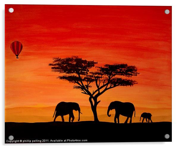 Elephants at sunset Acrylic by camera man