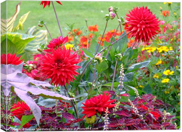 Summer Flowers Canvas Print by Andrew Middleton