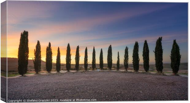  Lovely sunset over the circle of cypresses in Val d'Orcia Canvas Print by Stefano Orazzini