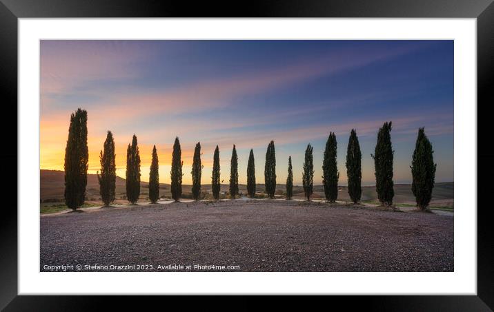  Lovely sunset over the circle of cypresses in Val d'Orcia Framed Mounted Print by Stefano Orazzini