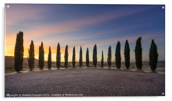  Lovely sunset over the circle of cypresses in Val d'Orcia Acrylic by Stefano Orazzini