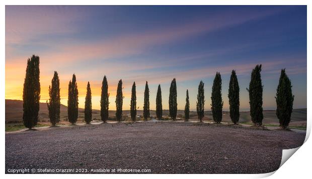  Lovely sunset over the circle of cypresses in Val d'Orcia Print by Stefano Orazzini