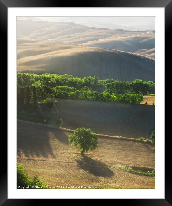Magnificent lighting over trees at sunrise. Val d'Orcia, Tuscany Framed Mounted Print by Stefano Orazzini