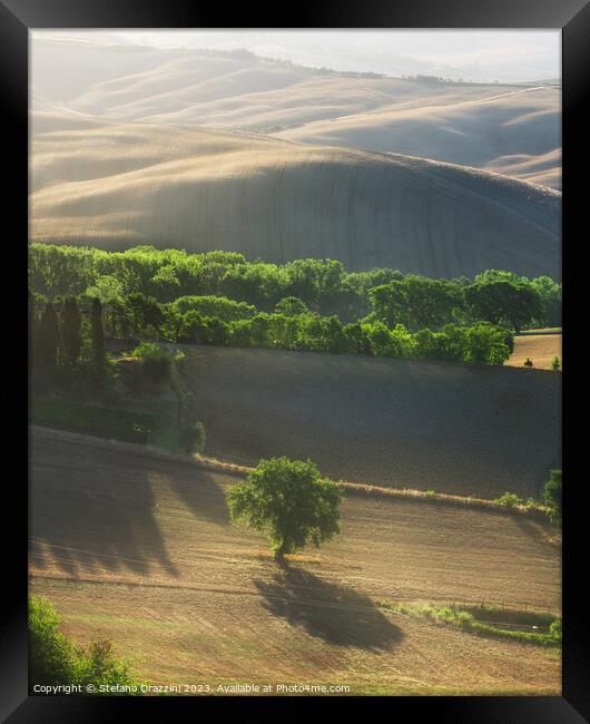 Magnificent lighting over trees at sunrise. Val d'Orcia, Tuscany Framed Print by Stefano Orazzini