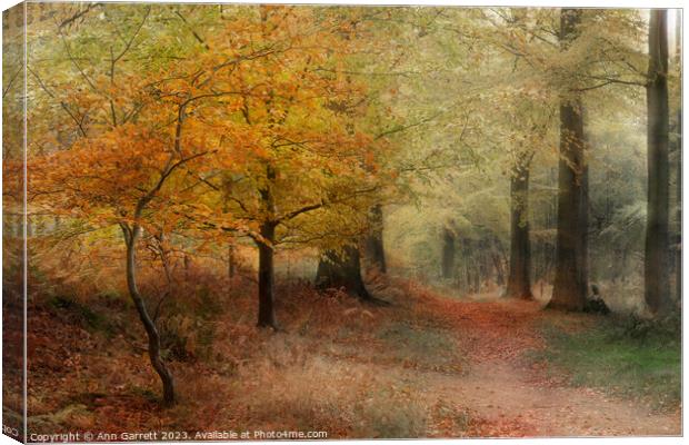 The Mystery of Cannock Chase Canvas Print by Ann Garrett