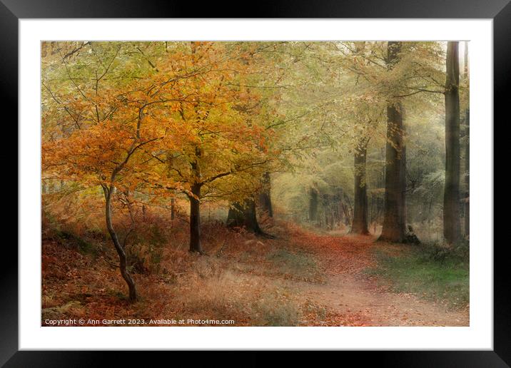 The Mystery of Cannock Chase Framed Mounted Print by Ann Garrett