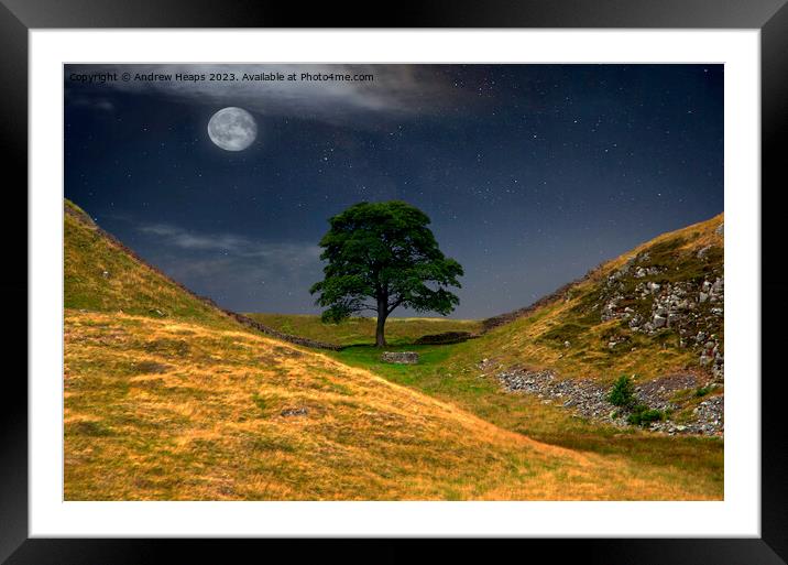 Moonlit Sycamore gap tree in moon light. Framed Mounted Print by Andrew Heaps