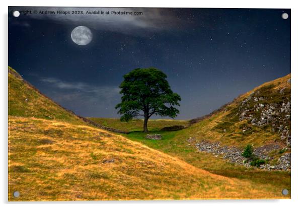 Moonlit Sycamore gap tree in moon light. Acrylic by Andrew Heaps
