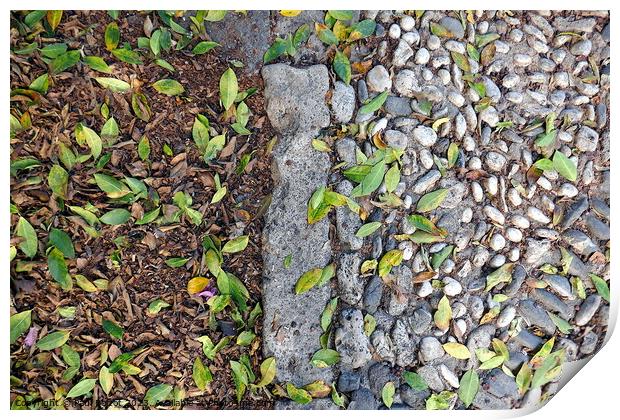 Leaves and cobbles, Kos Print by Paul Boizot