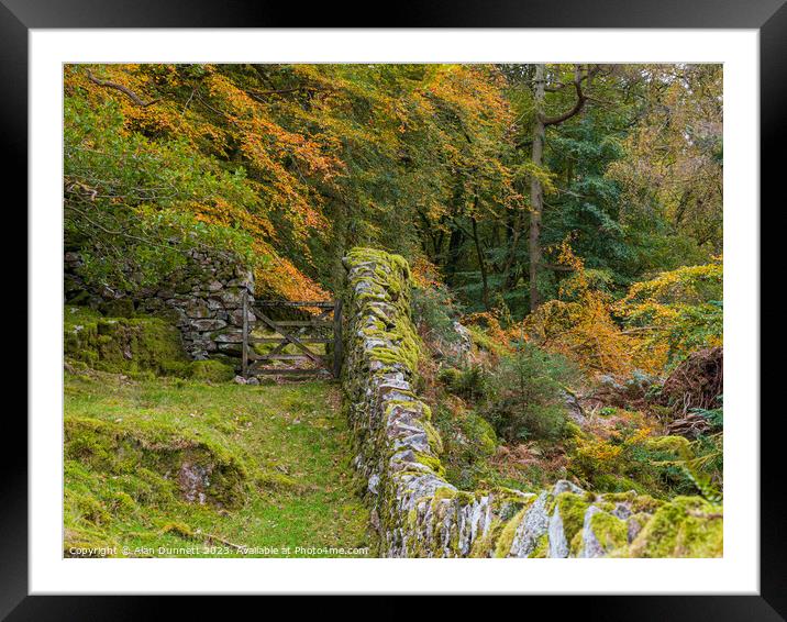 Autumn Gate Framed Mounted Print by Alan Dunnett