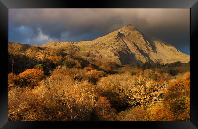 A mountain in wales called Cnicht Framed Print by Rory Trappe