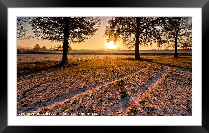 Frozen tracks Framed Mounted Print by Ian Collins