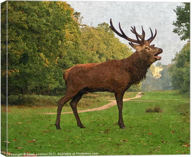 Red Deer Painting Canvas Print by Dawn O'Connor