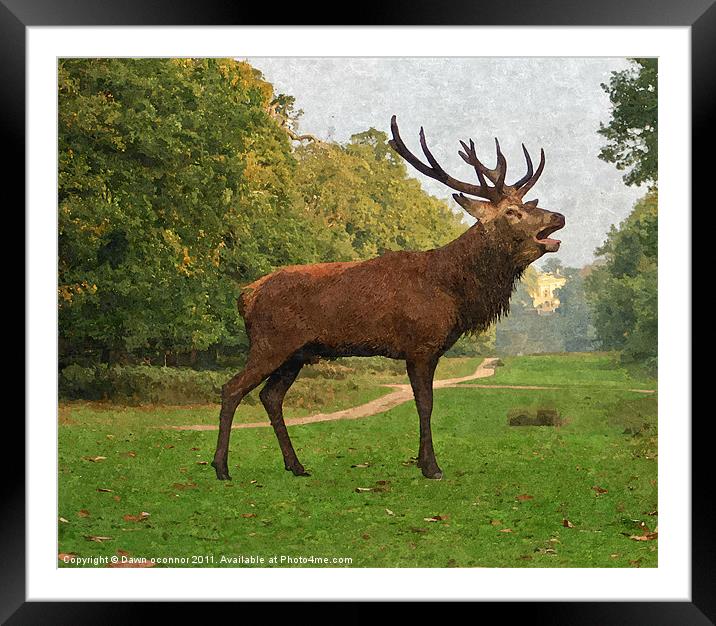 Red Deer Painting Framed Mounted Print by Dawn O'Connor