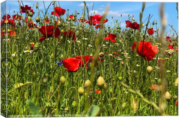 Wild flower field Canvas Print by Martin fenton