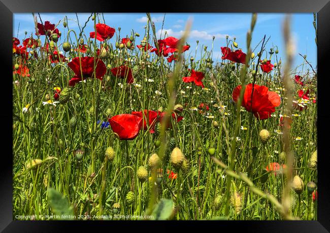 Wild flower field Framed Print by Martin fenton