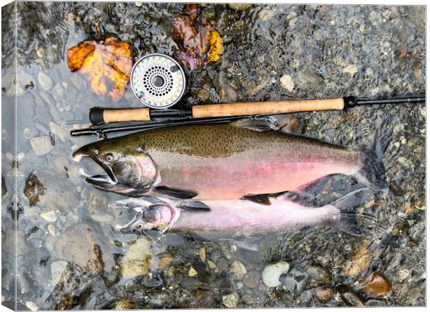 Pacific Northwest wild silver coho salmon next to fly reel and r Canvas Print by Thomas Baker