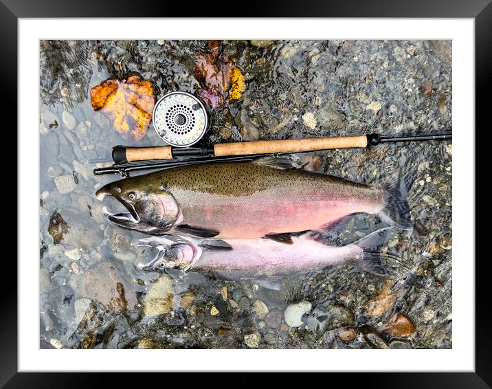 Pacific Northwest wild silver coho salmon next to fly reel and r Framed Mounted Print by Thomas Baker