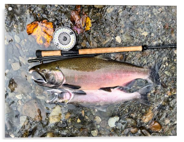 Pacific Northwest wild silver coho salmon next to fly reel and r Acrylic by Thomas Baker