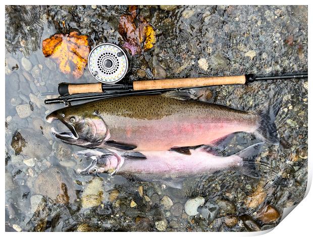 Pacific Northwest wild silver coho salmon next to fly reel and r Print by Thomas Baker
