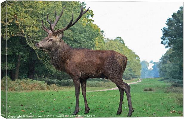Red Deer Stag Painting Canvas Print by Dawn O'Connor