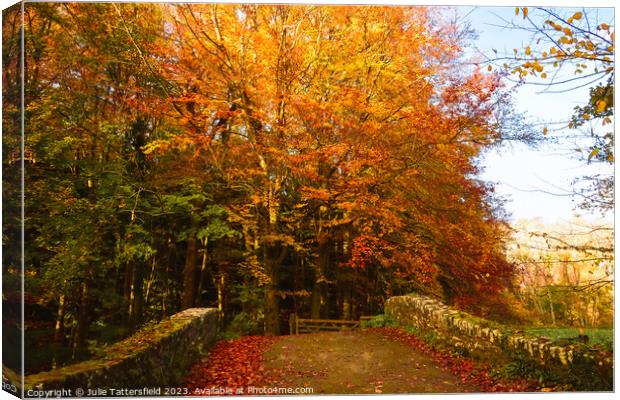 Autumn bridge in wales  Canvas Print by Julie Tattersfield
