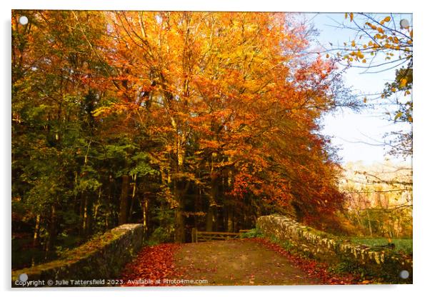 Autumn bridge in wales  Acrylic by Julie Tattersfield