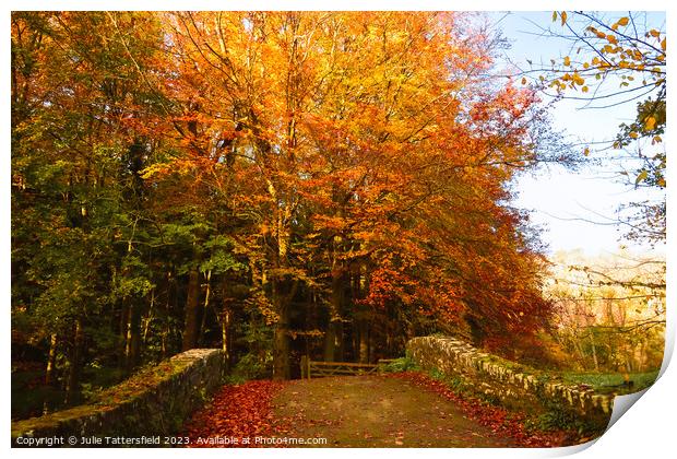 Autumn bridge in wales  Print by Julie Tattersfield