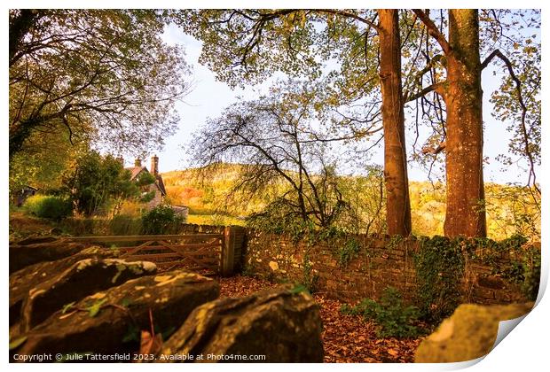 Autumn in wales Print by Julie Tattersfield