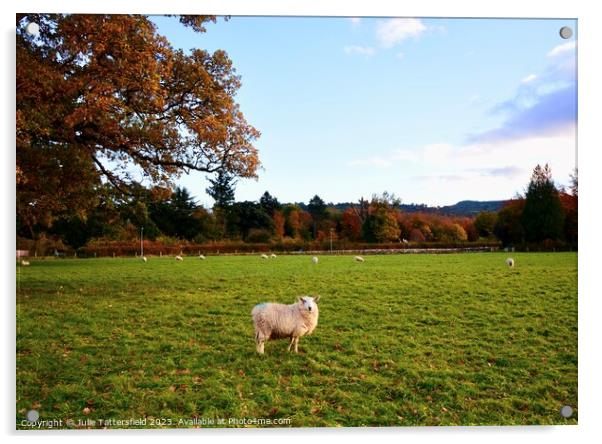 Sheep in wales Acrylic by Julie Tattersfield