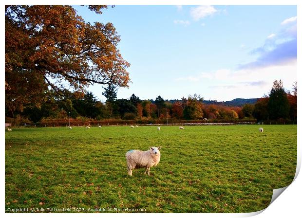 Sheep in wales Print by Julie Tattersfield
