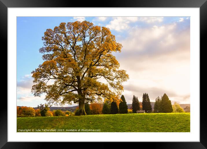 Autumn tree Framed Mounted Print by Julie Tattersfield