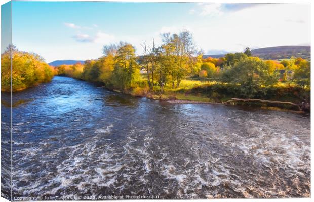River Usk from the bridge Canvas Print by Julie Tattersfield