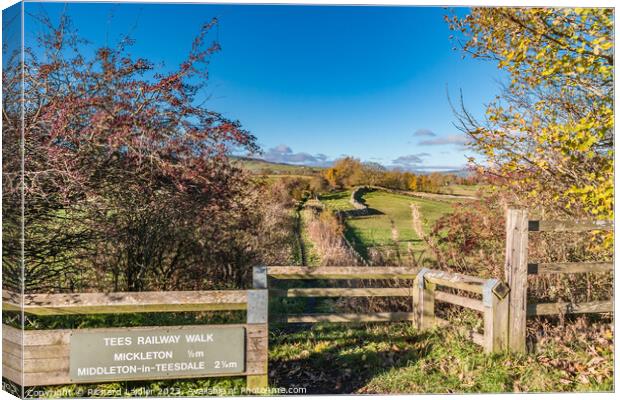 Tees Railway Walk Looking West Canvas Print by Richard Laidler