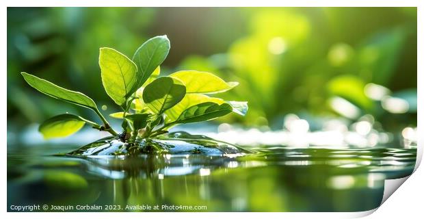 Natural panoramic background, relaxing water scene Print by Joaquin Corbalan