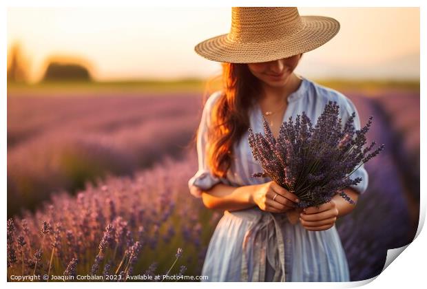 Young gardener woman picks lavender at sunset in a bucolic country scene. Print by Joaquin Corbalan
