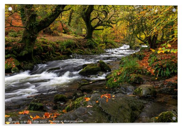 Autumnal Dartmoor River Acrylic by Bruce Little