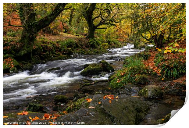 Autumnal Dartmoor River Print by Bruce Little