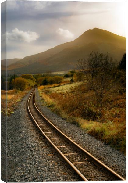 Welsh highland railway. Snowdonia  Canvas Print by David McGeachie