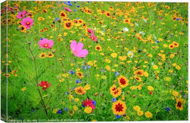 Wild Flower Meadow  Canvas Print by Jim Key