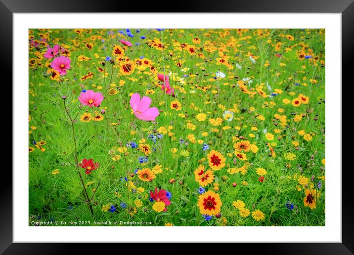 Wild Flower Meadow  Framed Mounted Print by Jim Key