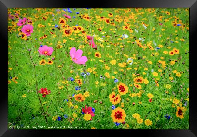 Wild Flower Meadow  Framed Print by Jim Key