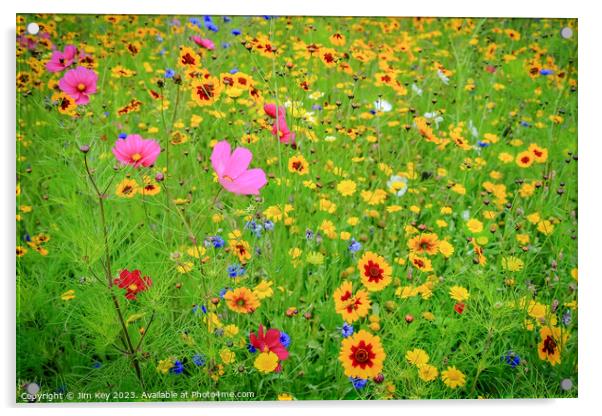 Wild Flower Meadow  Acrylic by Jim Key