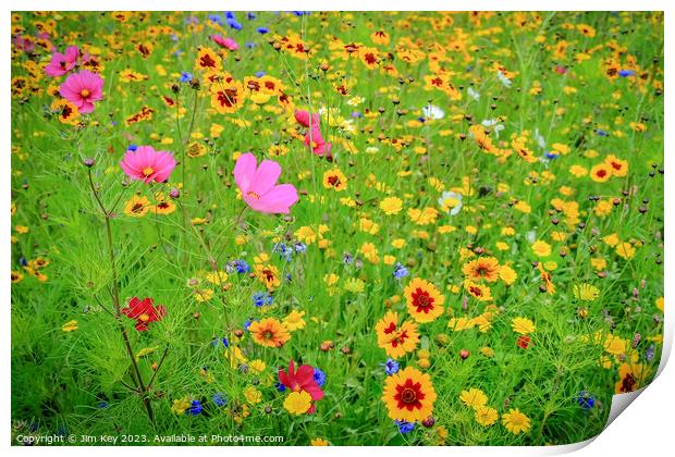 Wild Flower Meadow  Print by Jim Key