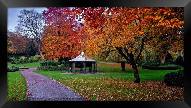 Autumn, Avenham and Miller Park Framed Print by Michele Davis