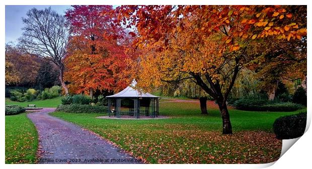 Autumn, Avenham and Miller Park Print by Michele Davis