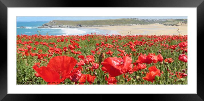 Poppy fields Cornwall Framed Mounted Print by Beryl Curran